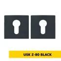 Накладка на ключевое USK Z80 (под цилиндр)